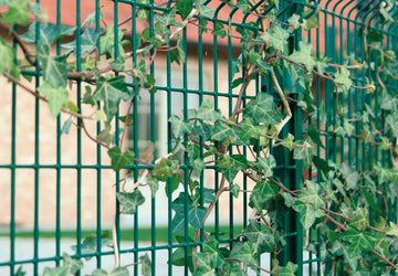 PVC Coated Mesh Fencing Solutions
