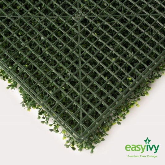 EasyIvy Green Buxus with Flowers (1mx1m) - Shop Online | Betafence SA