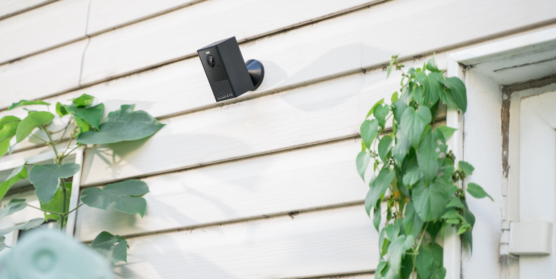 Black Security camera on outside wall with creepers