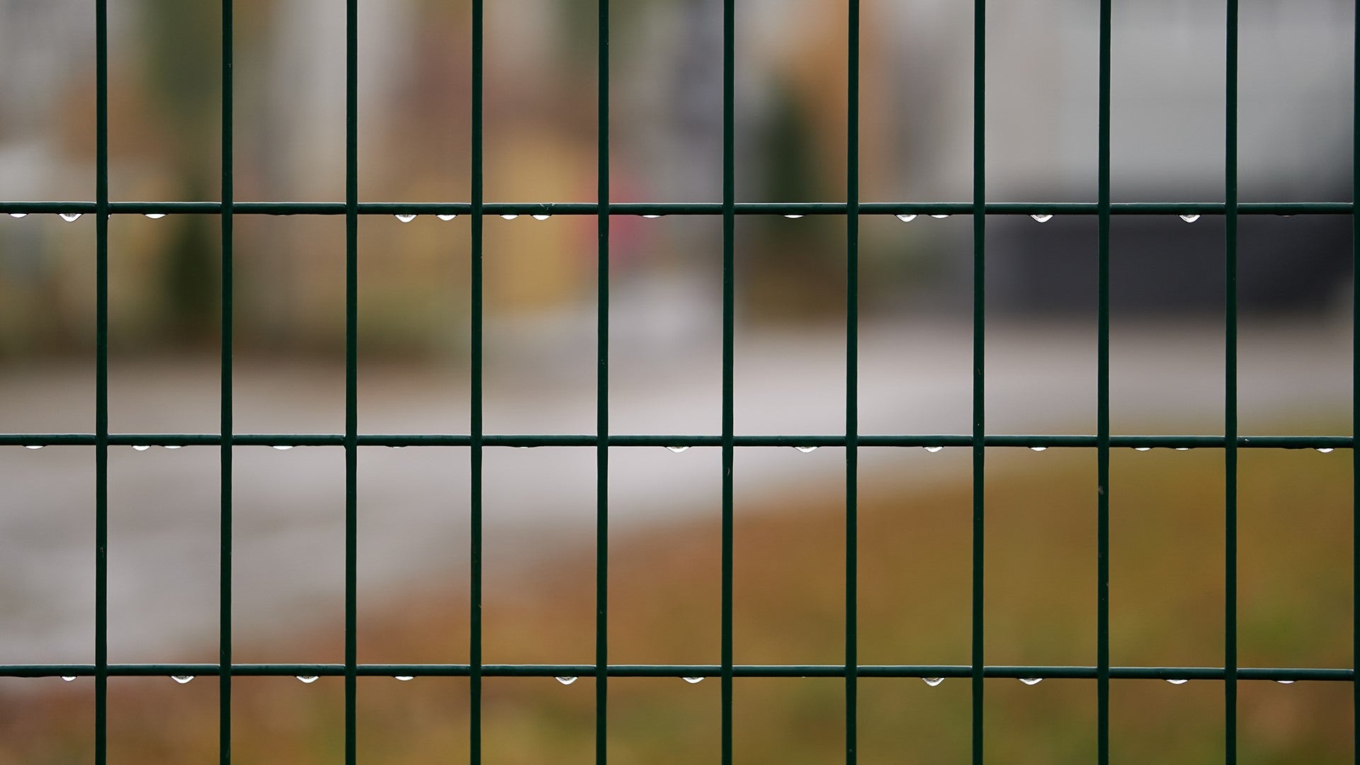 Clearview Fence Cleaning Tips | Betafence SA