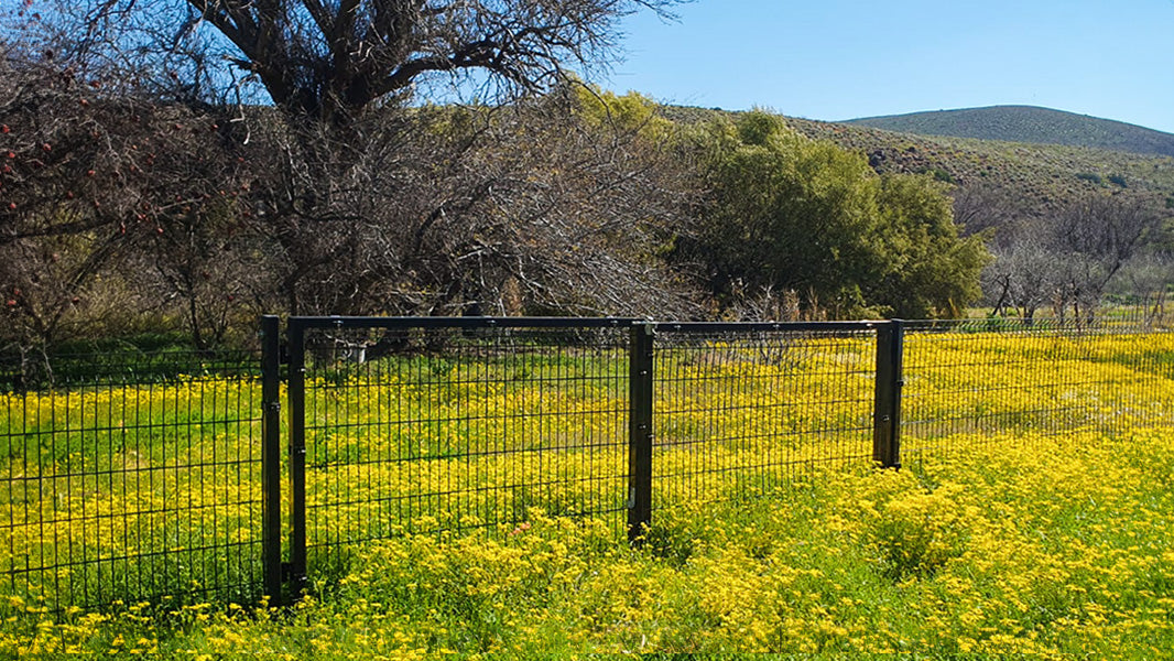 EasyView Inland – The Perfect Solution for Low-Corrosive Environments | Betafence SA