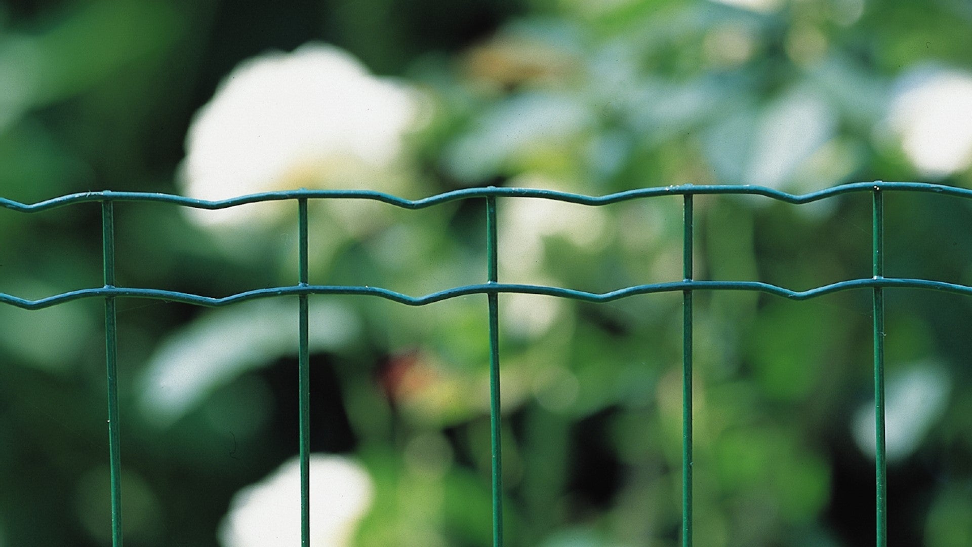 Welded mesh fence green installed