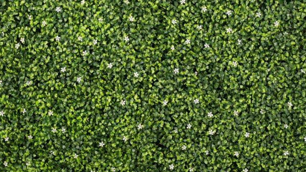 Tips for Incorporating Artificial Foliage in Your Home Betafence SA