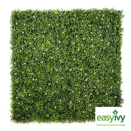 EasyIvy Green Buxus with Flowers (1mx1m) - Shop Online | Betafence SA