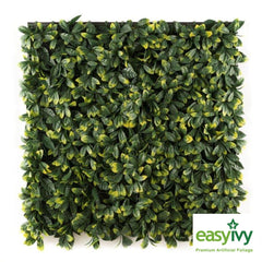 EasyIvy Lauro Bont (1m x 1m) | Artificial Foliage Panels